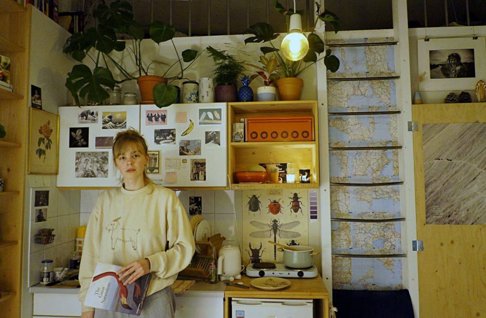 31729843_1585012281596090_5050784314921320448_n